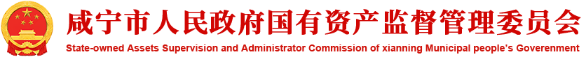咸宁市人民政府国有资产监督管理委员会