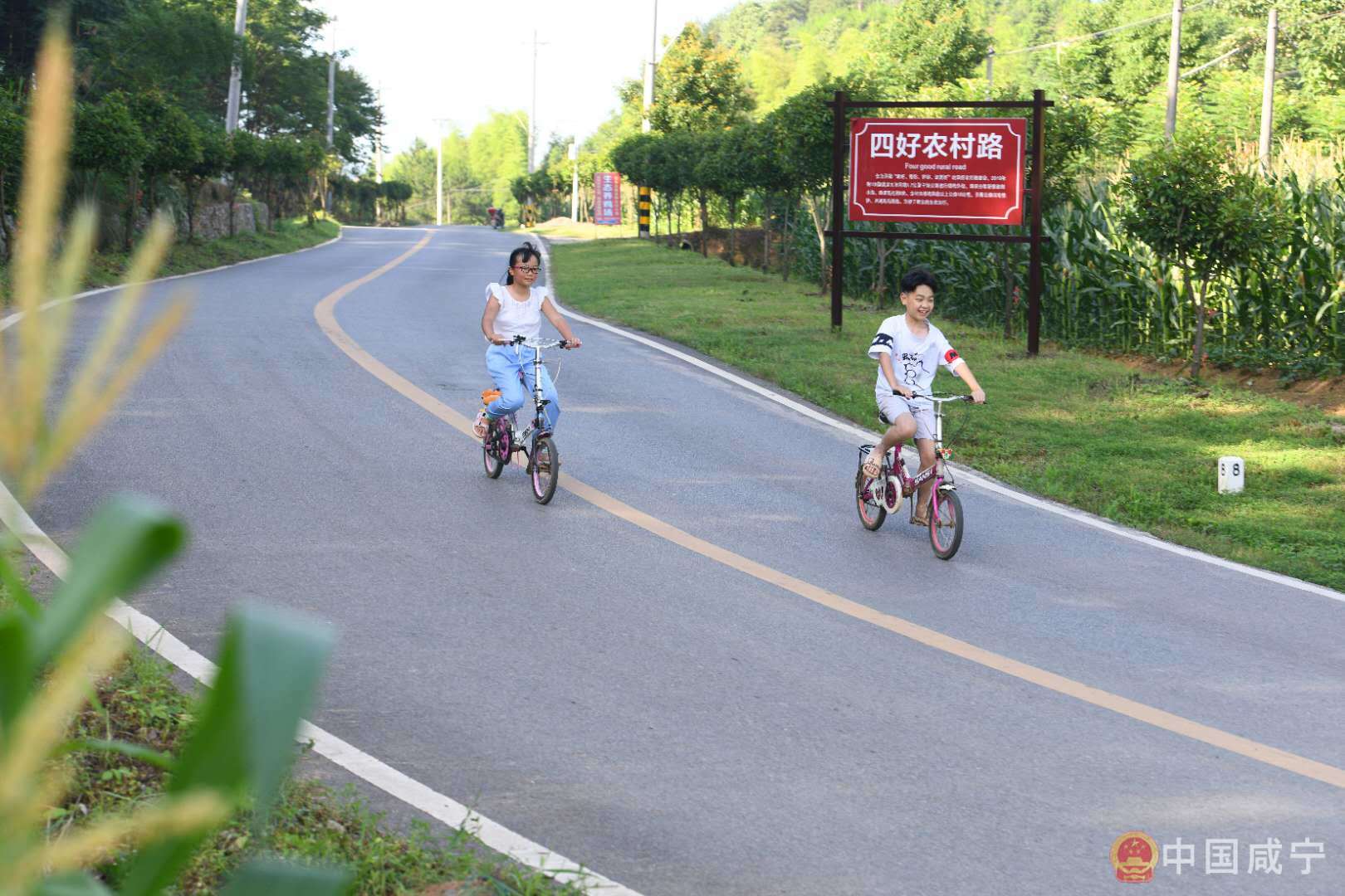 崇阳大市村