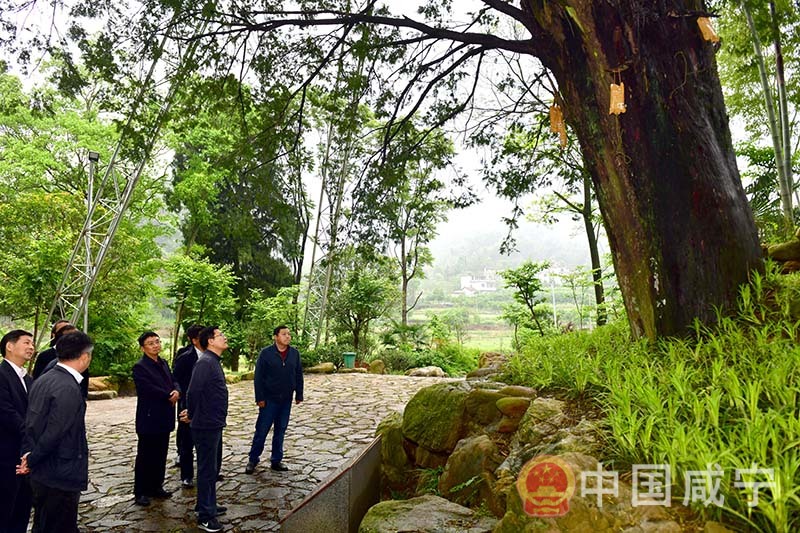 孟祥伟到咸安区调研保护好绿水青山颜值发挥好生态优势价值