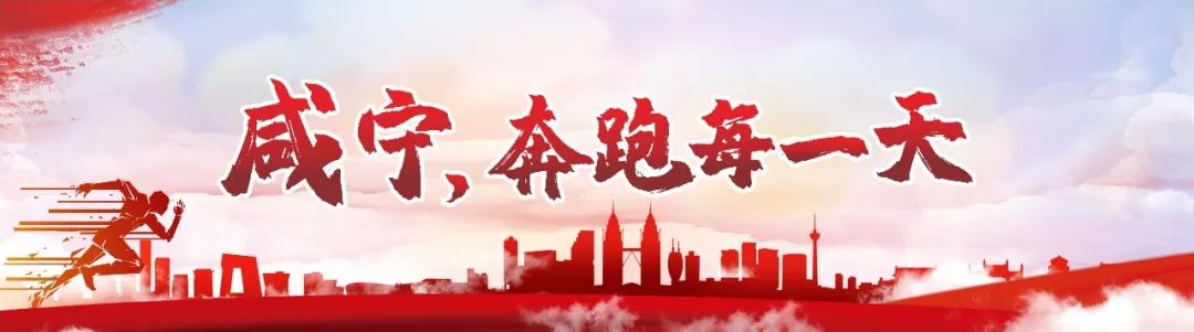咸宁2023中考分数线公布（附成绩分段统计表） - 咸宁市人民政府